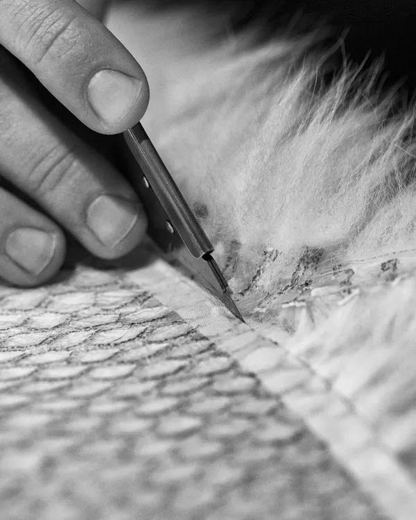 A blade cutting a fur pelt on the leather side